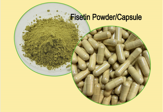 Fisetin  Powder