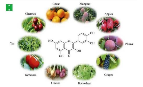  some foods with a relatively high quercetin content