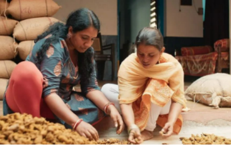 姜黄在全球各地应用广泛