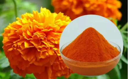 picture of zeaxanthin powder