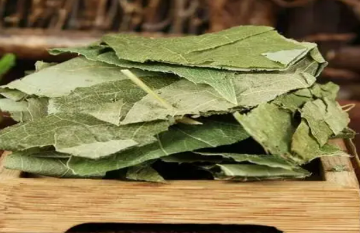 picture of Epimedium