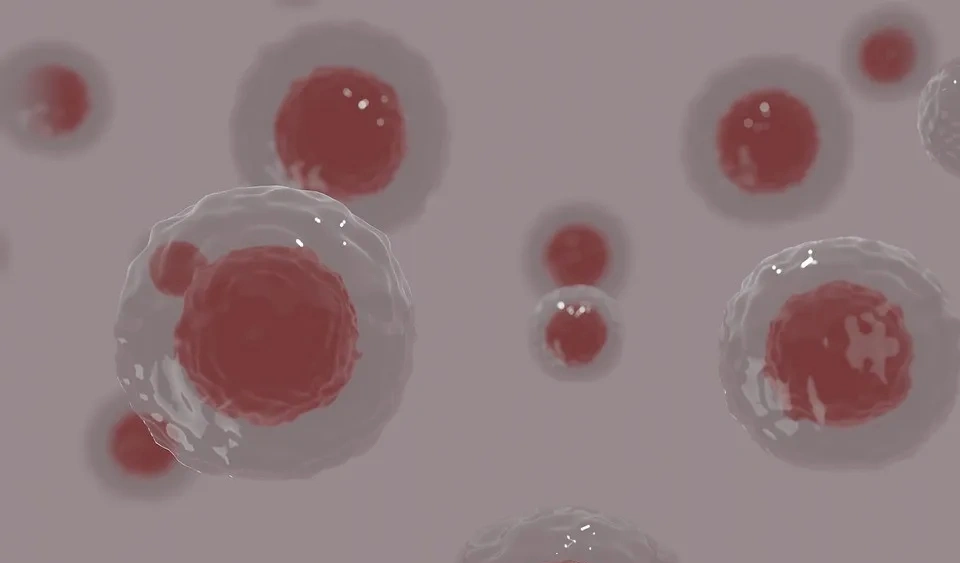 叶黄素护眼的本质