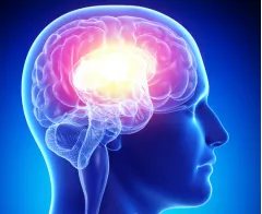 维持神经系统健康