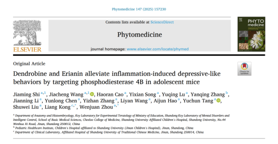 山东大学的科研团队最近在《Phytomedicine》上发了篇研究