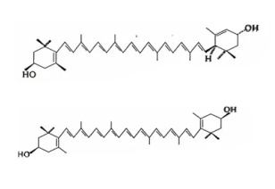 合成叶黄素结构