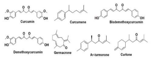 姜黄属植物中的成分的化学结构