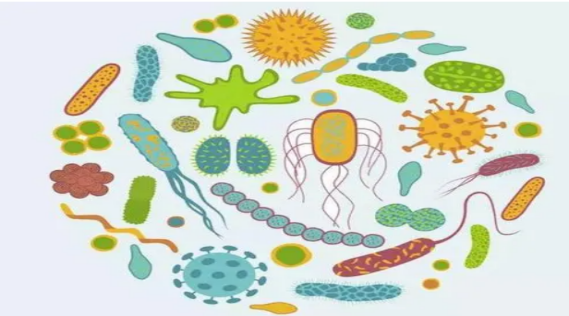 A cartoon of microbes