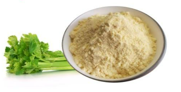 芹菜和芹菜素实拍图