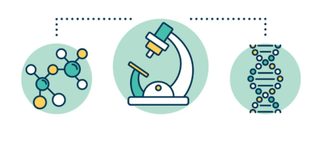 辅酶Q10分子漫画图