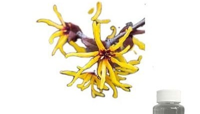 HAMAMELIS VIRGINIANA extract