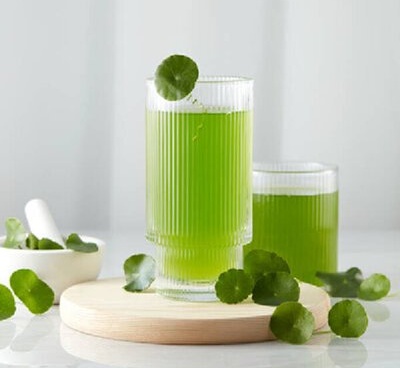 Centella Asiatica (CENTELLA ASIATICA) extract