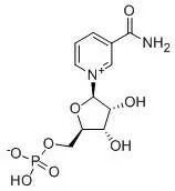 β-烟酰胺单核苷酸分子式