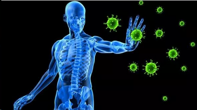 Enhance the immune system