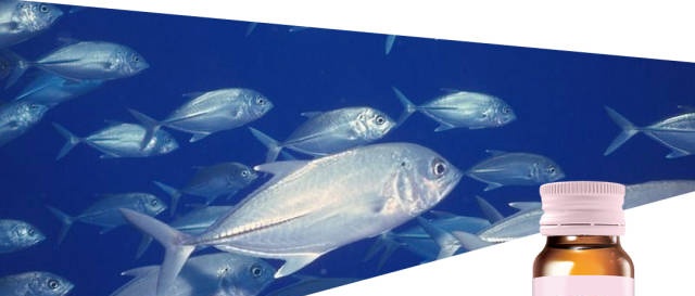 深海鱼富含蛋白肽