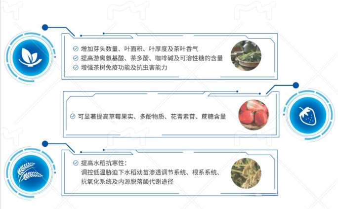 NAG可以促进植物生长