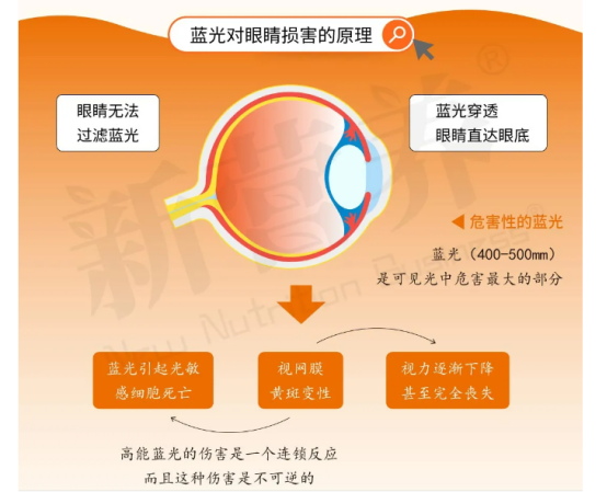 玉米黄质和叶黄素对于帮助构建眼睛健康的天然屏障作用