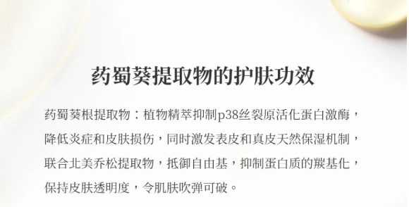 药蜀葵的提取功效