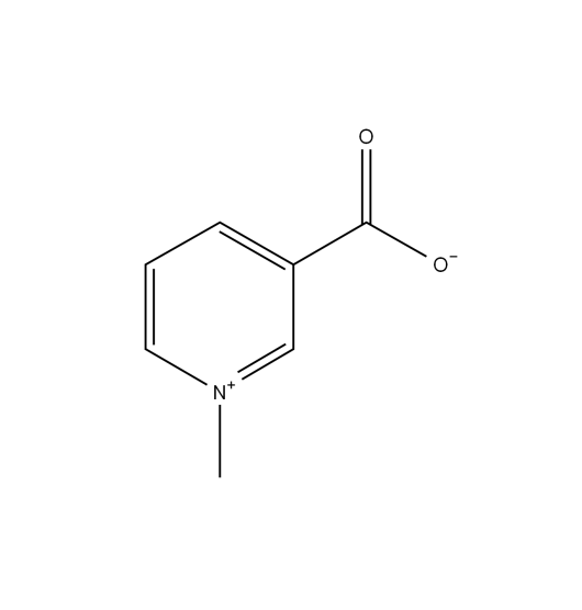 What is Trigonelline?