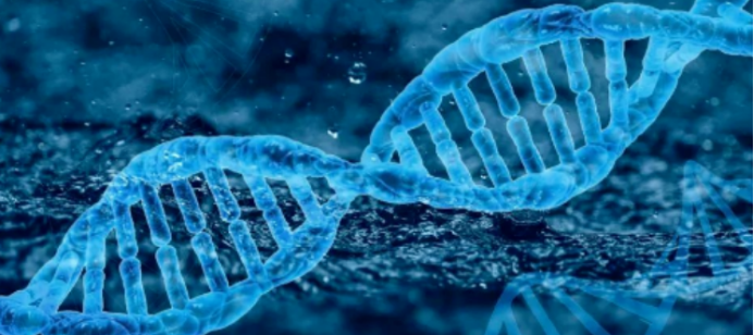 画面呈现着携带着生命遗传信息的蓝紫色 DNA 双螺旋结构。