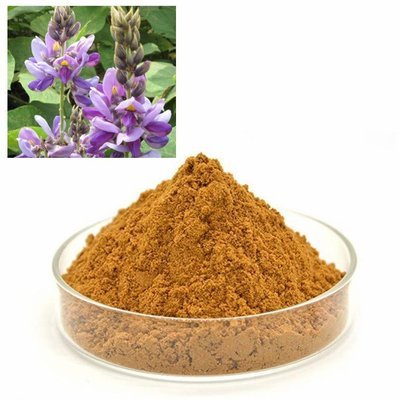 GLYCYRRHIZA URALENSIS root extract