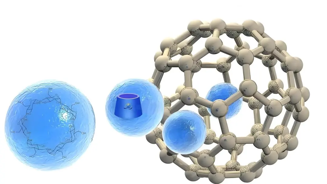 喜来芝对免疫系统 有益