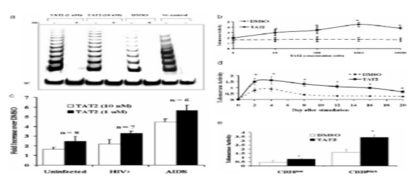 环黄芪醇能够抗衰老实验图