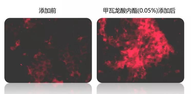 焕活肌肤“自愈”力