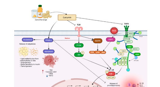 姜黄素在各种情况下的益处