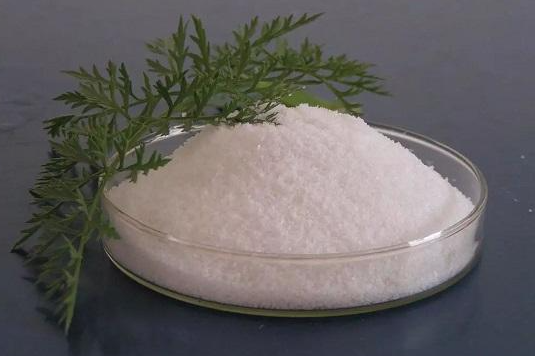 一水肌酸和益生菌的搭配