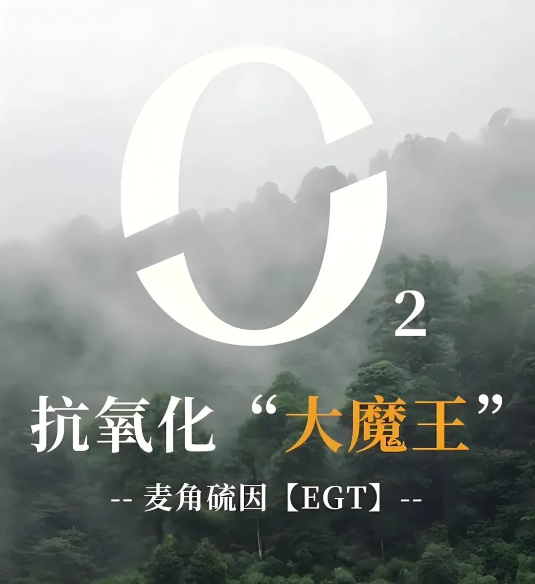 麦角硫因-强效抗氧化剂