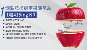 烟酰胺核糖苹果酸盐功效