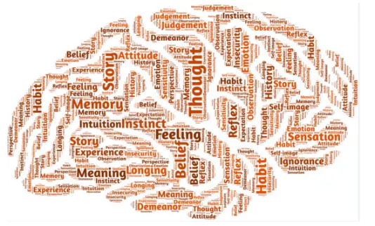 A brain - shaped word - cloud features words like "Thought", "Memory", and "Feeling" related to mental processes