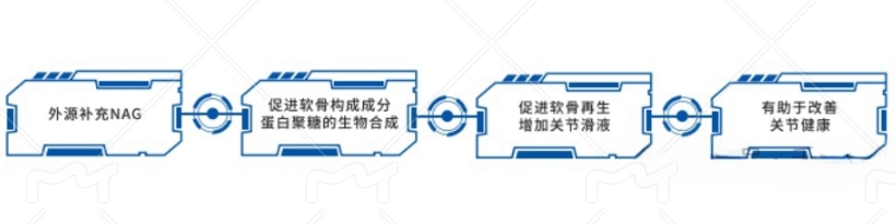 外源补充NAG怎么治疗关节炎