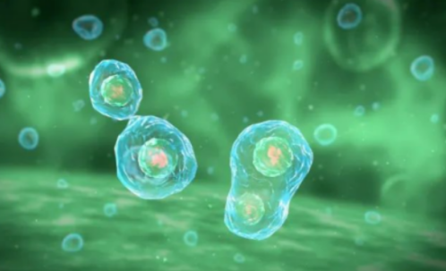 脱氮黄素清除僵尸细胞