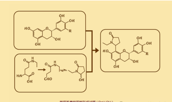 普洱茶素Ⅰ-Ⅷ分子结构式(R=H,OH)