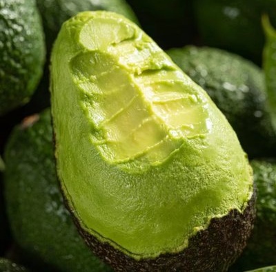 Avocado tree fruit fat