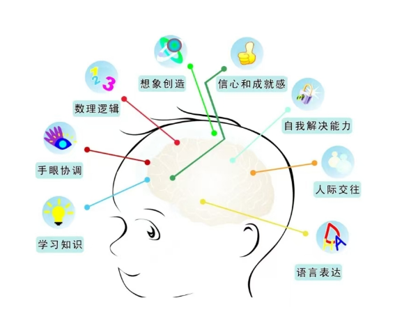 神经酸促进大脑发育