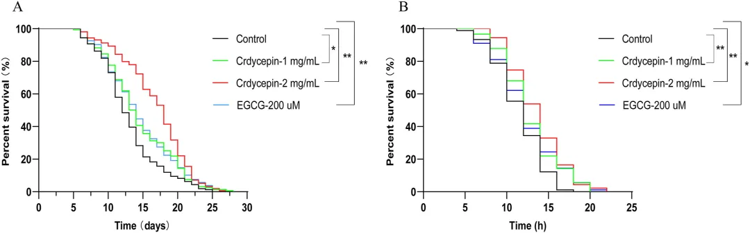 虫草素对秀丽隐杆线虫寿命的影响