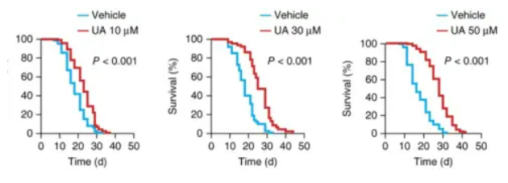 UA significantly extends the lifespan of C. elegans in a dose-dependent manner
