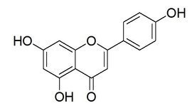 芹菜素的分子式