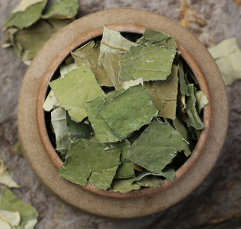适量饮用荷叶茶