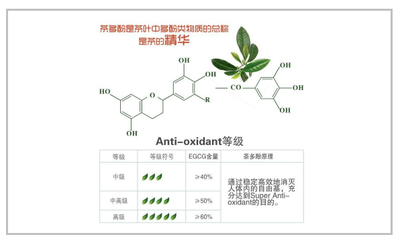 茶多酚是什么?