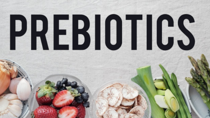 the image of Prebiotics