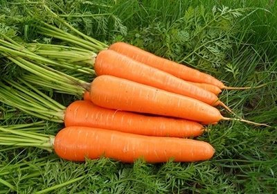 胡萝卜、蔬果