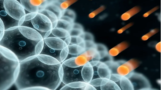 Characteristics of PQQ