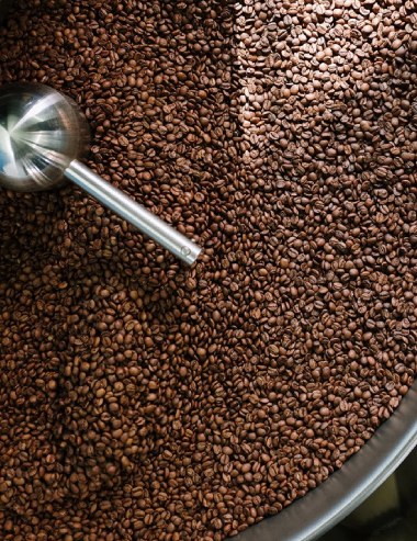 The main source of trigonelline