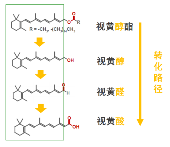 类视黄醇