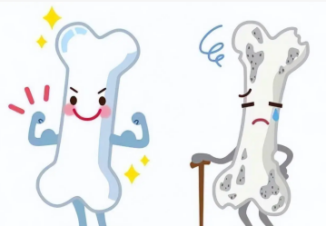 骨骼代谢漫画图