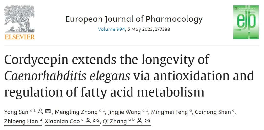 虫草素 的抗衰老机制