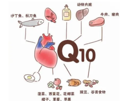 辅酶Q10的来源